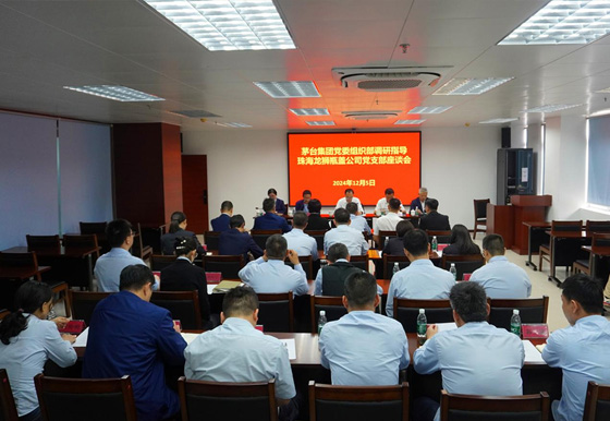 集團(tuán)公司黨委組織部部長(zhǎng)一行到龍獅瓶蓋公司調(diào)研指導(dǎo)工作